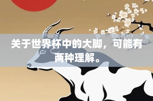 关于世界杯中的大脚，可能有两种理解。