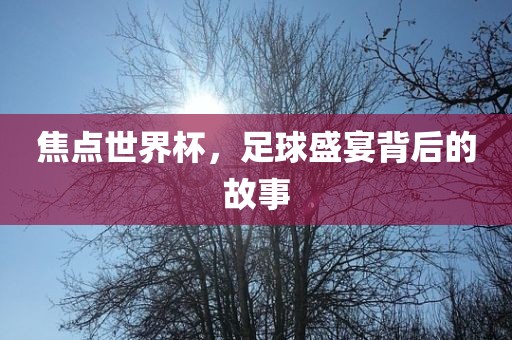 焦点世界杯，足球盛宴背后的故事