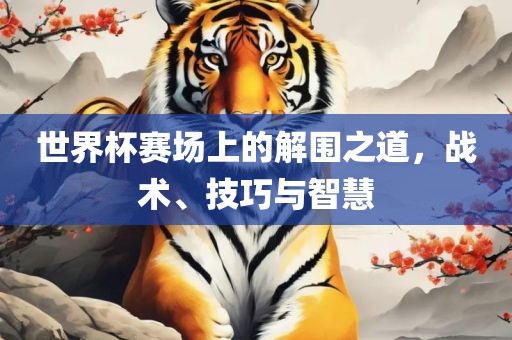 世界杯赛场上的解围之道，战术、技巧与智慧