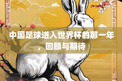 中国足球进入世界杯的那一年，回顾与期待江门市永晋源无纺布有限公司