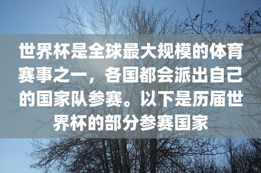 世界杯是全球最大规模的体育赛事之一，各国都会派出自己的国家队参赛。以下是历届世界杯的部分参赛国家