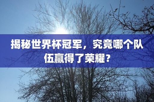 揭秘世界杯冠军，究竟哪个队伍赢得了荣耀？