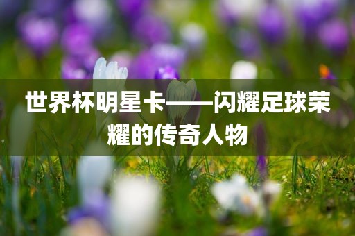 世界杯明星卡——闪耀足球荣耀的传奇人物