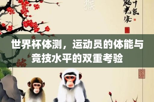 世界杯体测，运动员的体能与竞技水平的双重考验