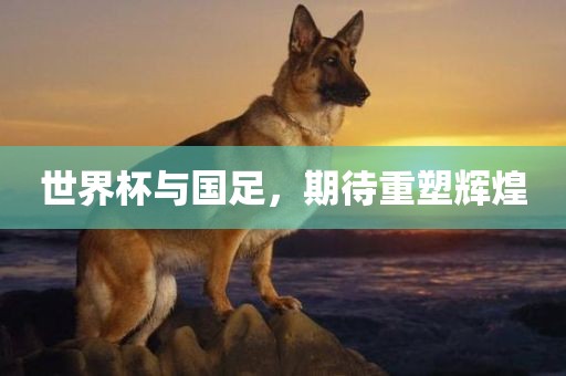世界杯与国足，期待重塑辉煌