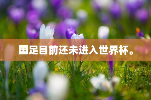 国足目前还未进入世界杯。