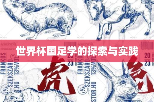 世界杯国足学的探索与实践