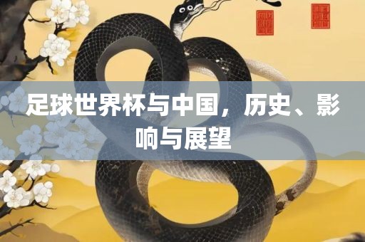 足球世界杯与中国，历史、影响与展望江门市永晋源无纺布有限公司