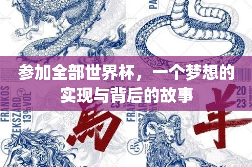 参加全部世界杯，一个梦想的实现与背后的故事