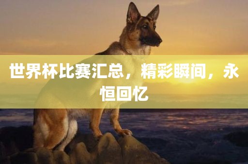 世界杯比赛汇总，精彩瞬间，永恒回忆
