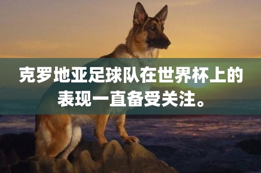 克罗地亚足球队在世界杯上的表现一直备受关注。