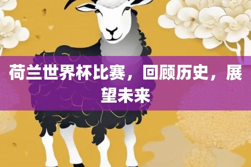 荷兰世界杯比赛，回顾历史，展望未来