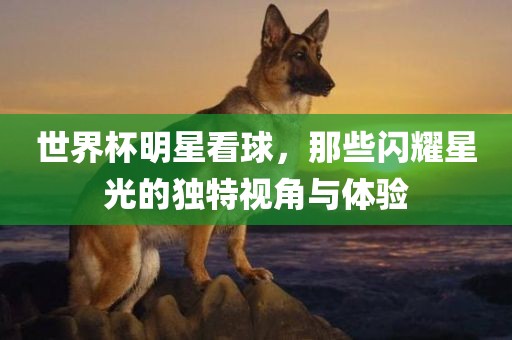 世界杯明星看球，那些闪耀星光的独特视角与体验