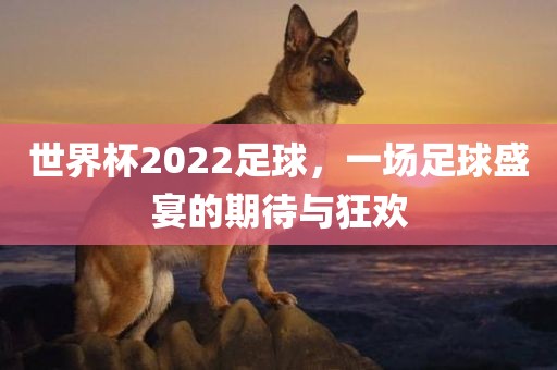 世界杯2022足球，一场足球盛宴的期待与狂欢