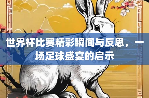 世界杯比赛精彩瞬间与反思，一场足球盛宴的启示