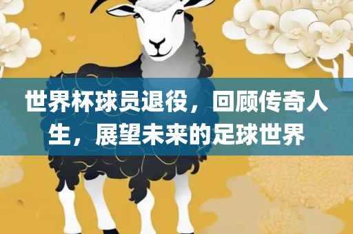 世界杯球员退役，回顾传奇人生，展望未来的足球世界