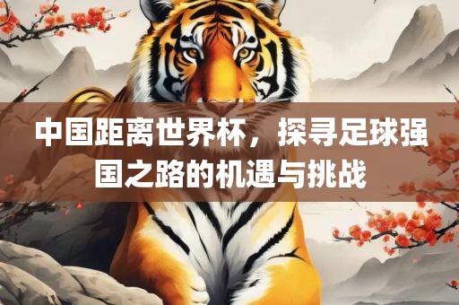 中国距离世界杯，探寻足球强国之路的机遇与挑战