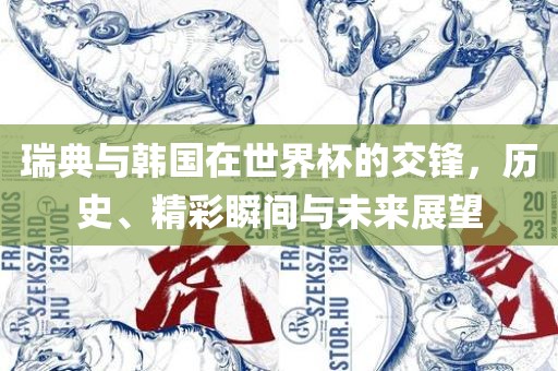 瑞典与韩国在世界杯的交锋，历史、精彩瞬间与未来展望