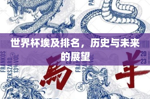 世界杯埃及排名，历史与未来的展望