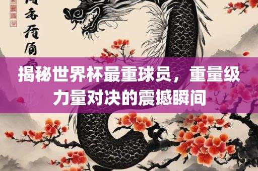 揭秘世界杯最重球员，重量级力量对决的震撼瞬间