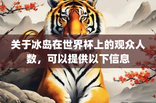 关于冰岛在世界杯上的观众人数，可以提供以下信息