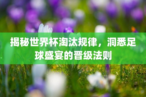 揭秘世界杯淘汰规律，洞悉足球盛宴的晋级法则