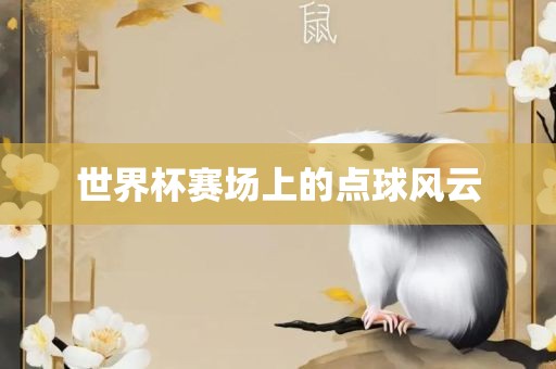 世界杯赛场上的点球风云