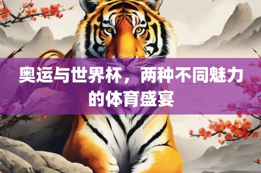 奥运与世界杯，两种不同魅力的体育盛宴