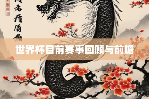 世界杯目前赛事回顾与前瞻