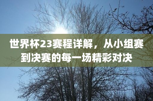世界杯23赛程详解，从小组赛到决赛的每一场精彩对决