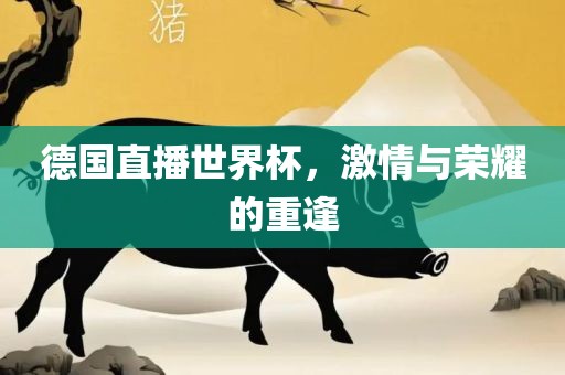 德国直播世界杯，激情与荣耀的重逢