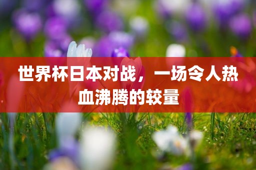 世界杯日本对战，一场令人热血沸腾的较量