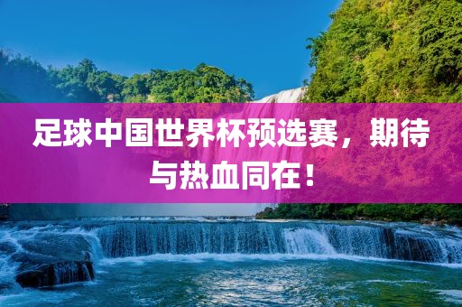 足球中国世界杯预选赛，期待与热血同在！