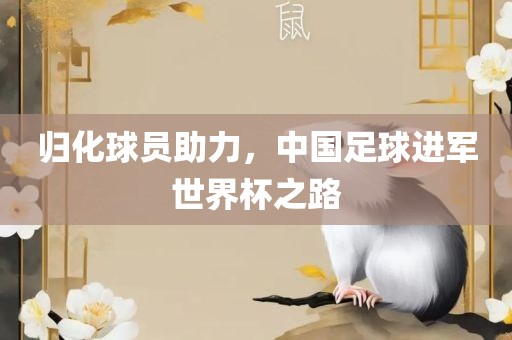 归化球员助力，中国足球进军世界杯之路