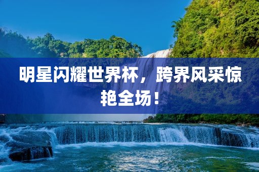 明星闪耀世界杯，跨界风采惊艳全场！