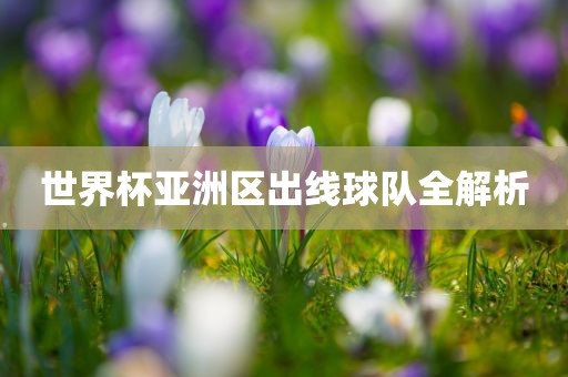 世界杯亚洲区出线球队全解析