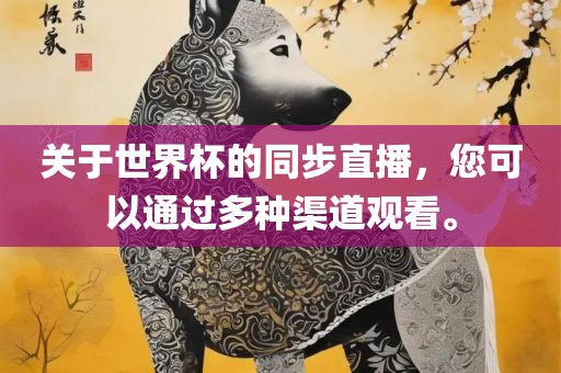 关于世界杯的同步直播，您可以通过多种渠道观看。