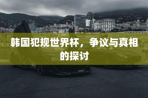 韩国犯规世界杯，争议与真相的探讨