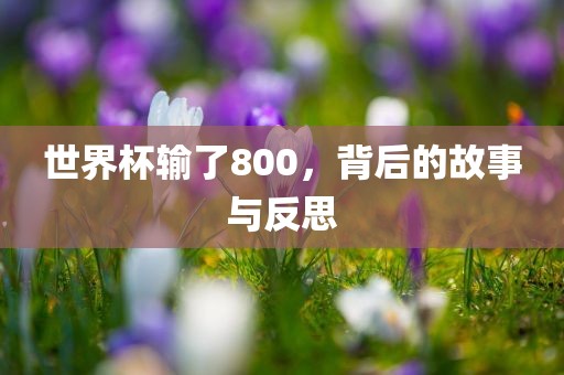 世界杯输了800，背后的故事与反思