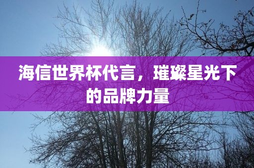 海信世界杯代言，璀璨星光下的品牌力量