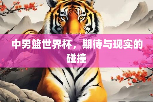 中男篮世界杯，期待与现实的碰撞