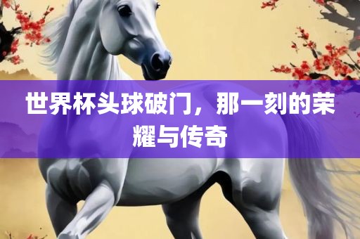 世界杯头球破门，那一刻的荣耀与传奇