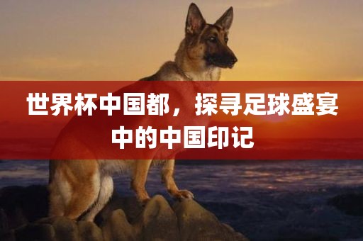 世界杯中国都，探寻足球盛宴中的中国印记