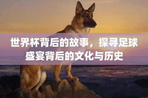 文化与历史