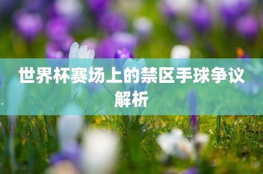世界杯赛场上的禁区手球争议解析