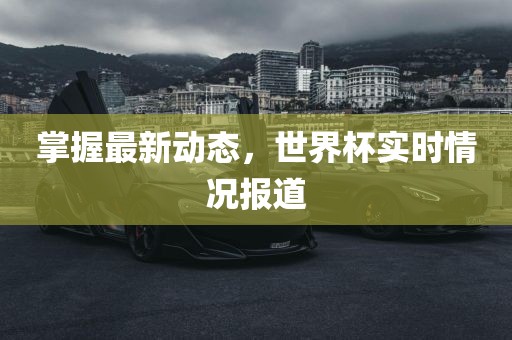 掌握最新动态，世界杯实时情况报道