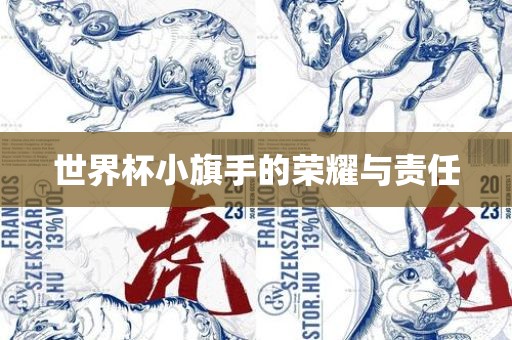 世界杯小旗手的荣耀与责任