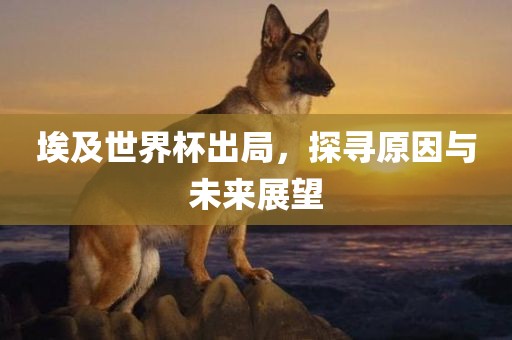 埃及世界杯出局，探寻原因与未来展望