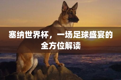 塞纳世界杯，一场足球盛宴的全方位解读