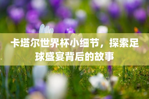 卡塔尔世界杯小细节，探索足球盛宴背后的故事